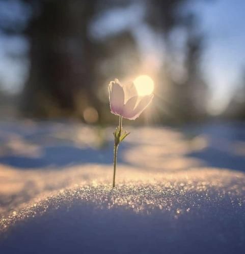 اهنگ شل شده فک مکم کجا سورنا پلی شده رفیق من امشب بد مستم