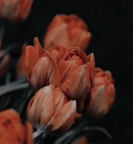 اهنگ هی میگه گنگم گنگم داره میگیره خندم کم کم معلوم چی مصرف کردم