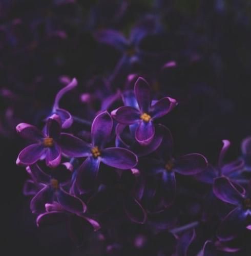 اهنگ تویی قرار من فقط کنار من بمون و عاشقم باش بمون و عاشقم باش