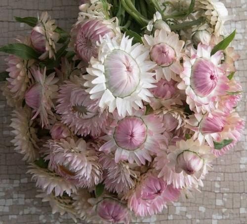 اهنگ بزن قدش اگه با خودت همیشه حرفت میشه اگه یه جا قلبت گیره