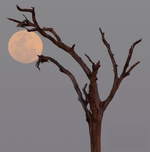 اهنگ وقتی دیدمت توی تجریش بد بچ نفهمیدم چیه مغز ردیت