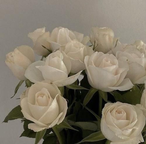 اهنگ پاپو سلیمانی پاپو سلیمانی مالم رمانی مالم رمانی چو ابرو مشکی