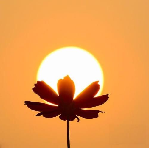 اهنگ چشات نازه پره رازه آی گلی جان دلم تنگه ولی میسازه گلی جان