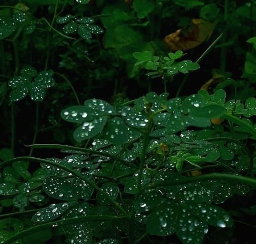 اهنگ به تو خوش دلم بدون مکث بدون حرف بیا پیش خودم