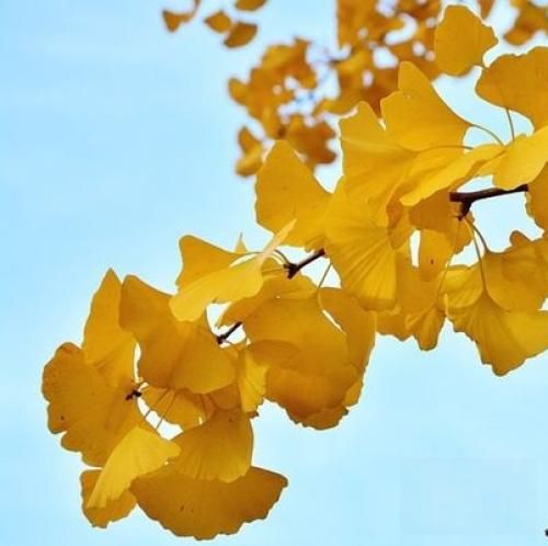 اهنگ بگو با تو چه کنم تا تو شوی هم درد من تا باران بشود حال و هوای