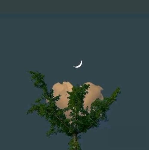 اهنگ آدم انقده آروم کنارت که یهو میبینه دچارت شده و میفهمه تمومه کارت