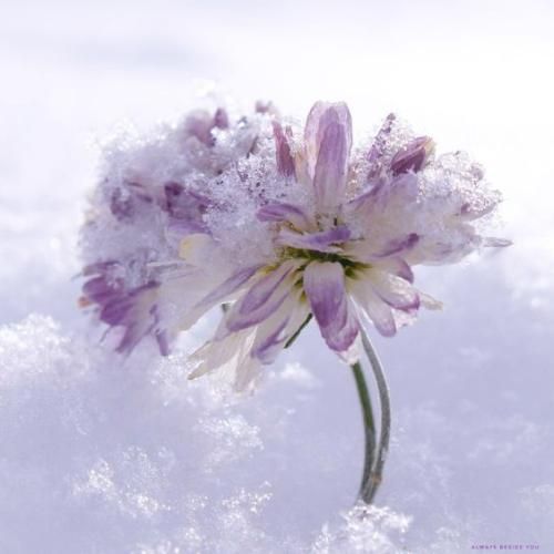 اهنگ شدم در به در کوی تو من دریابم عشق دلخواه من و ماه من و مهتابم