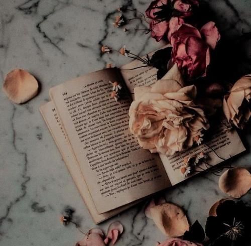 اهنگ بگو بیارن یک و نیم سگی نیم برا شما یک برا من تکی