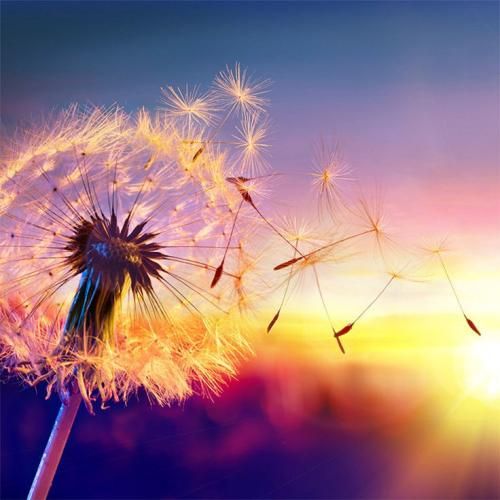 اهنگ دوباره نصف شب خیره به در و دیوار دوباره فکرت نگه داشته منو بیدار