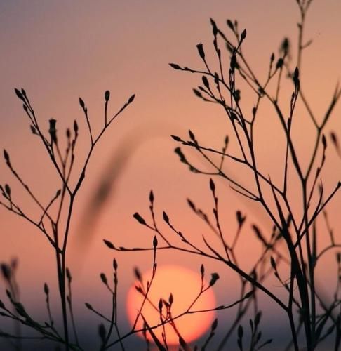 اهنگ مواظبم باش نزار بمیره فردام کنار من باش بشین کنار دردام یه بار به جای من باش