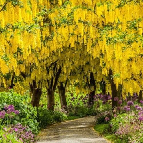 اهنگ عذاب میدی مارو حال میکنیا اصن رحم نداریا حاجی ما پایینیم تو بالاییا