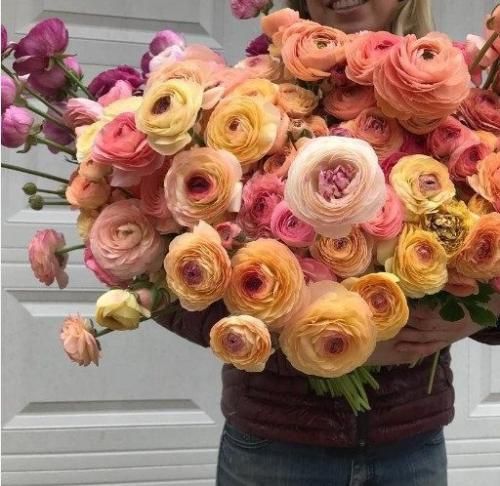 اهنگ نفس تو که نیستی این هوا خفس منو دربیار از این قفس دل من برا توئه و بس