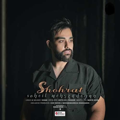 سهیل مهرزادگان شهرت