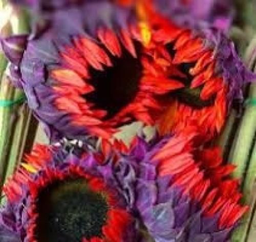 نوان لجبازی یه ذره مثل خودم میپرسم نمیگی چته گلم تنگ میشه واسه تو