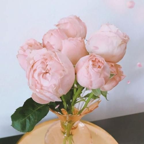 اهنگ اگه یه شهر میشدن تیم دست و بالمو میبستن با تو باز من میپرسیدم