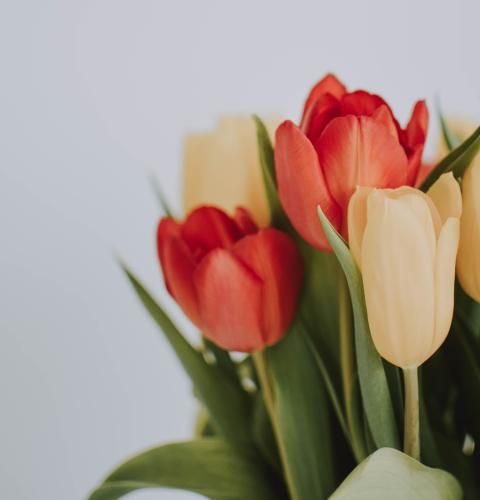 اهنگ  من اگه پات موندم برات خوندم دردت به جونم بگو چی تویه چشماته