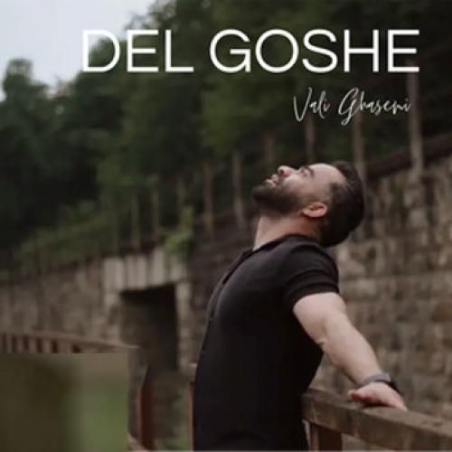 ولی قاسمی دل گوشه