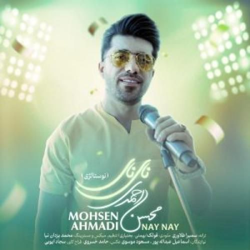 محسن احمدی نای نای
