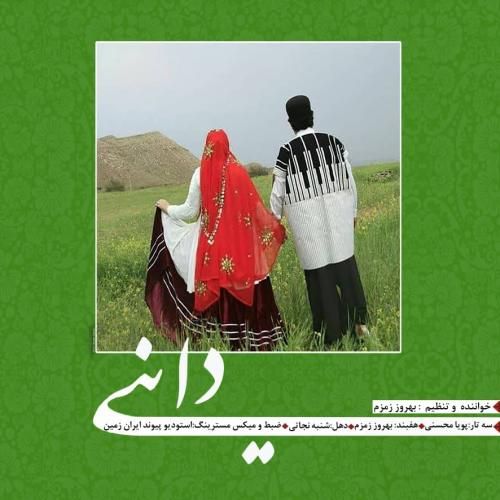 بهروز زمزم داینی