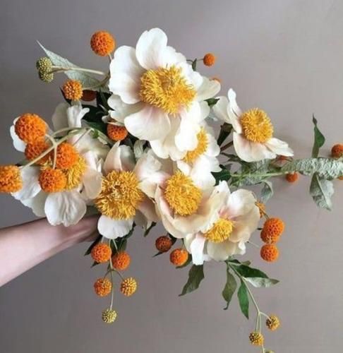 اهنگ زندگی من تورو کم داشت بیا همسفرم باش بذار گل کنه عشقمون