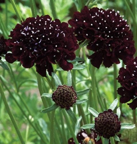 اهنگ میخوام این آهنگو من به تو تقدیم کنم تو رو از همه تفریق کنم