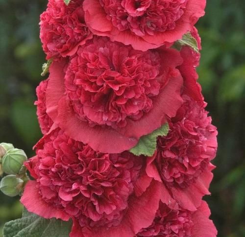 اهنگ نگاه به تو کردم شبو نمیخواستیم از اولو پس چرا میگفتی اصلا نرو