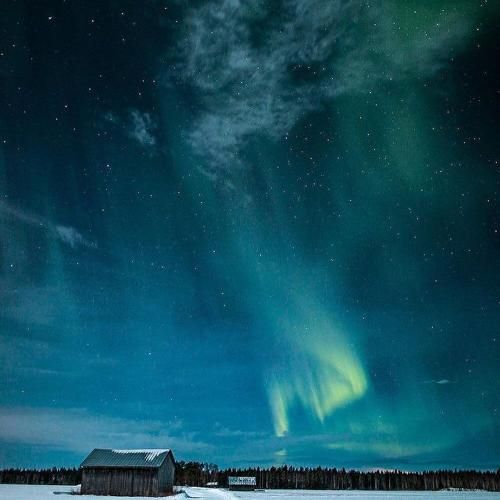  میدونستم اولا کلی دروغ میگفتی