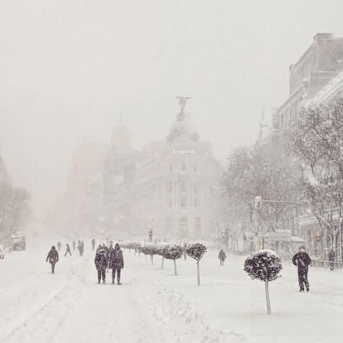  امشب علی عبدالمالکی هوش مصنوعی