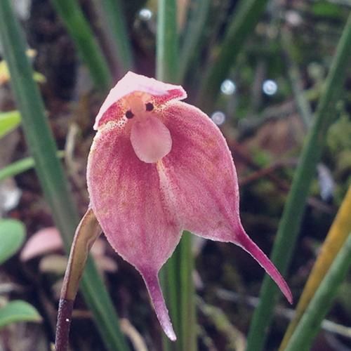 الو خواهش میکنم الو خواهش میکنم