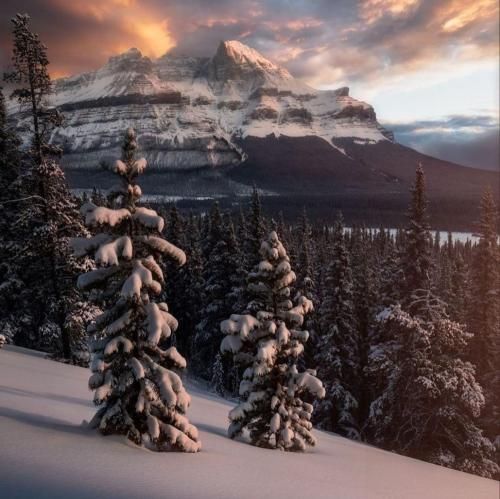 دلم خینه از غم دیریت با صدای زن