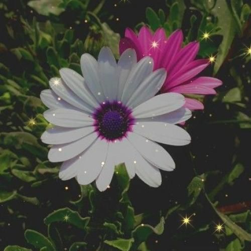  با من قدم بزن من هوای تورو روح صبحمی جاده عبورمی