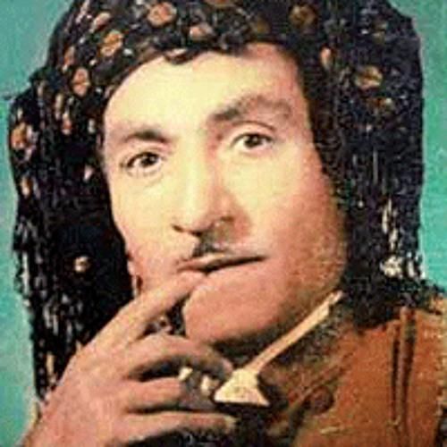 حسن زیرک میترسم بمیرم و دوباره نبینمت