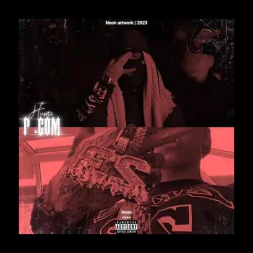 حامی پی دات کام