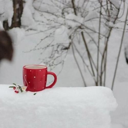  آخه چرا شده پیگیرت برزیله نیتیوه