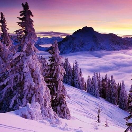   این گریه ها واسه خودمه واسه تو نیست دیگه دیره