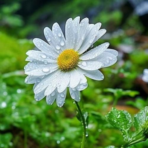  تیر خلاصی تو مغزت شم از خودم عزیز تری برام بگو انجام بدم