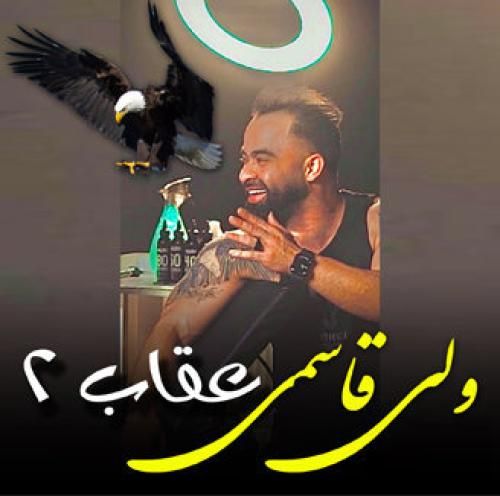 ولی قاسمی عقاب ۲