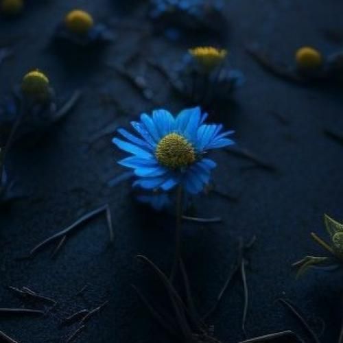 ساقی بازم می بده نگو بسه هی بده پیمونه هامو نشمار با صدای زن