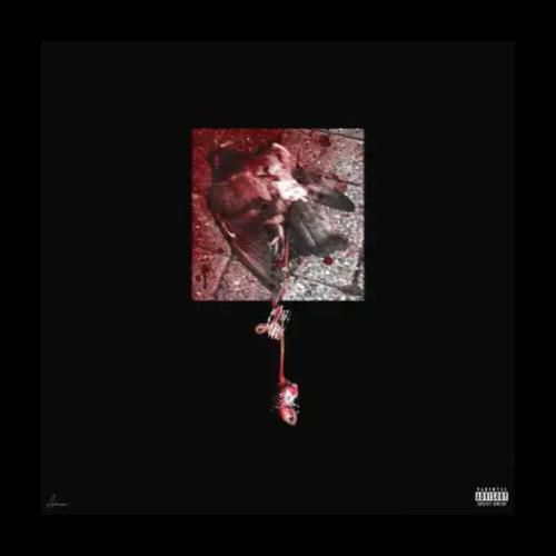 جیدال کفتر بازی