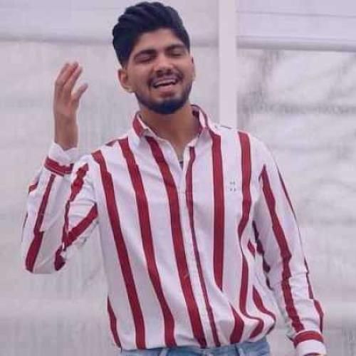 امیر فضلی سایبون