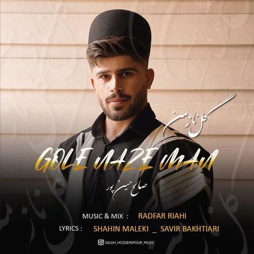 صالح حسین پور گل ناز من