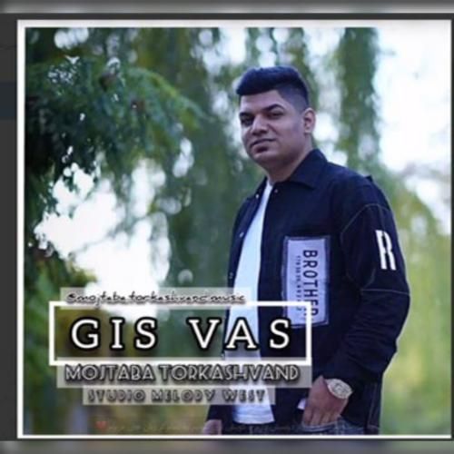 مجتبی ترکاشوند گیس واس