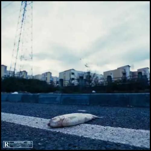 هیپهاپولوژیست چشم در برابر چشم