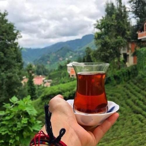 من فرصت نمیدم دروازه ببینم میکوبم توش مثل کریس