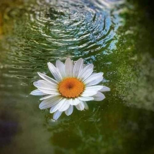 دستمو میگیره سفت تر بهم میگه کی از تو بهتر