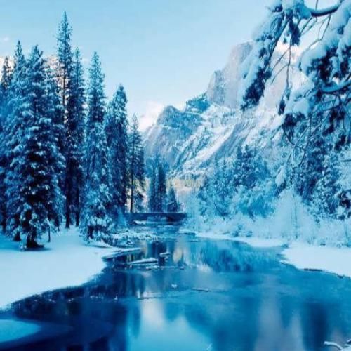  اومدی تا غصه بره از تو قلبم یه کاری کردی