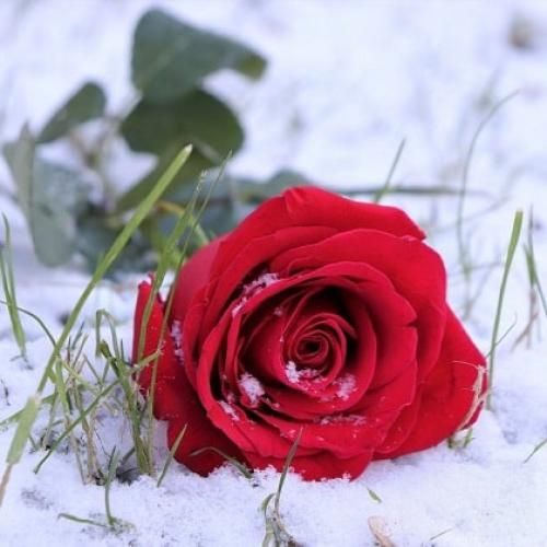  باید باران مرا باور کند شاید حال مرا بهتر کند