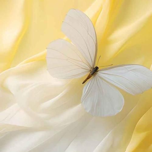  برام فرستاد یه قلب بنفش شاید میخواد اون بذاره