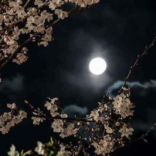  واقعا خوب باش وانمود نکن که تو بهتر