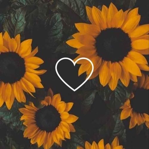  اونکه با هم ساختیم ساده خرابش نکن